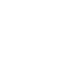 BCBS Icon